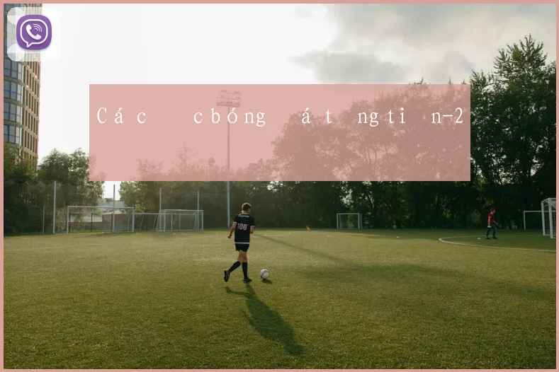 Cá cược bóng đá tặng tiền