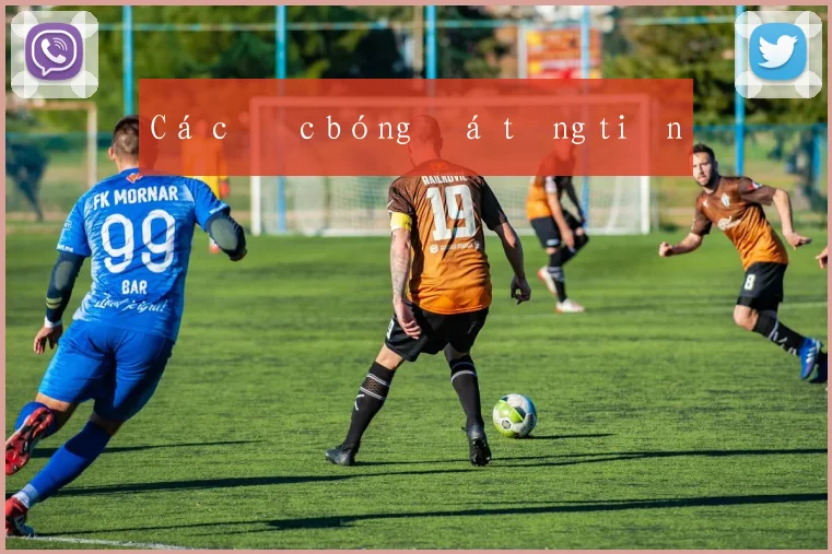 Cá cược bóng đá tặng tiền